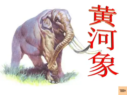 《黄河象》课件