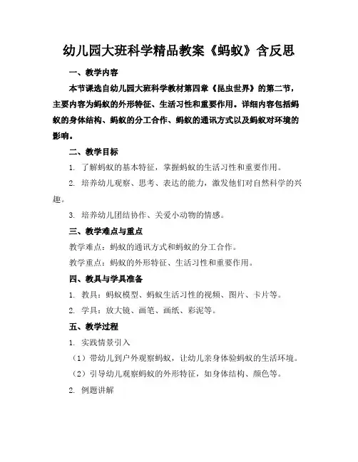 幼儿园大班科学精品教案《蚂蚁》含反思