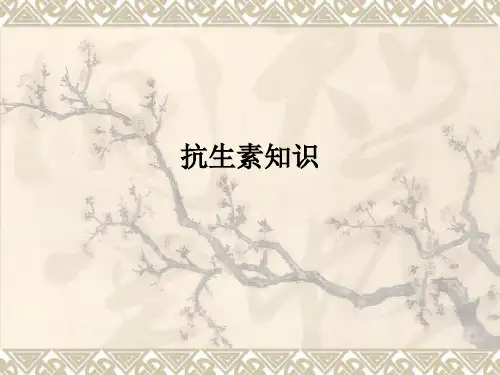 抗生素知识PPT课件