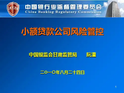 小额贷款公司风险管控讲义.ppt
