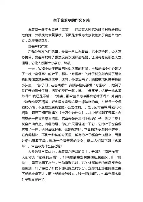 关于含羞草的作文5篇