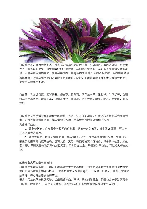 哪些人不能吃血皮菜