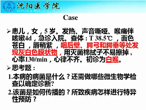 19-棒状杆菌属讲述
