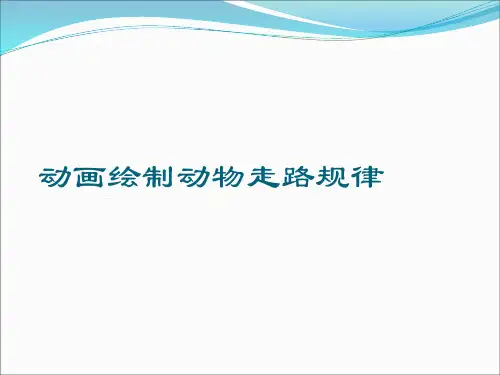 动画绘制动物走路规律课件