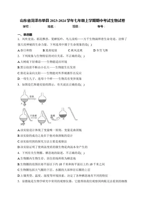 山东省菏泽市单县2023-2024学年七年级上学期期中考试生物试卷(含答案)