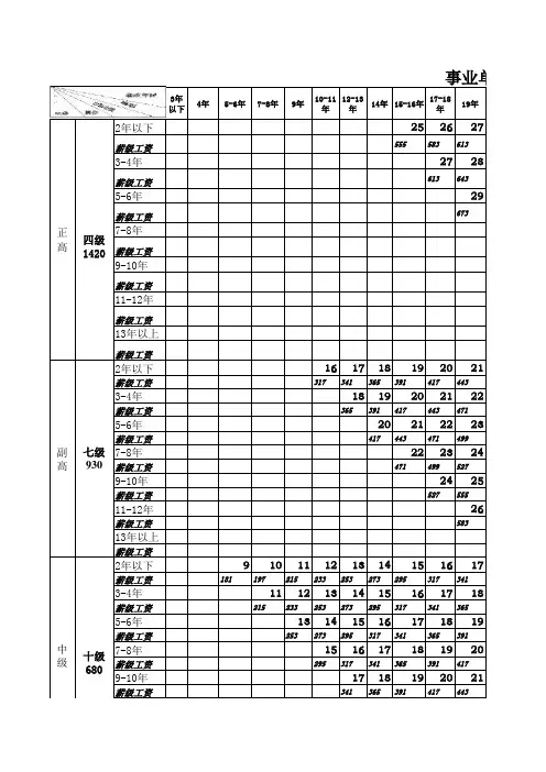 事业单位专业技术人员薪级工资套改表 Excel 工作表
