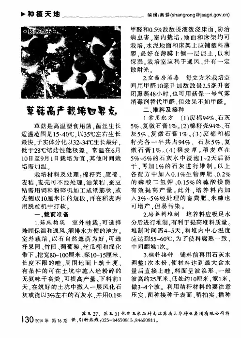 草菇高产栽培四要点