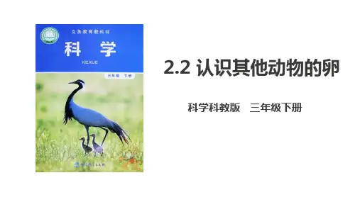 教科版三年级下册科学《认识其他动物的卵》PPT说课教学课件