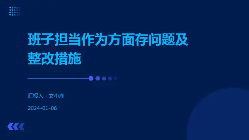 班子担当作为方面存问题及整改措施