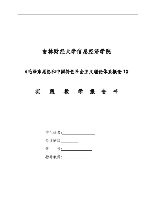 毛概作业——精选推荐