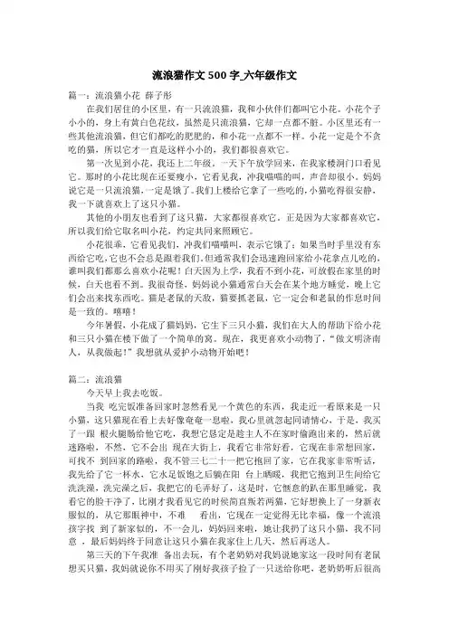 流浪猫作文500字_六年级作文