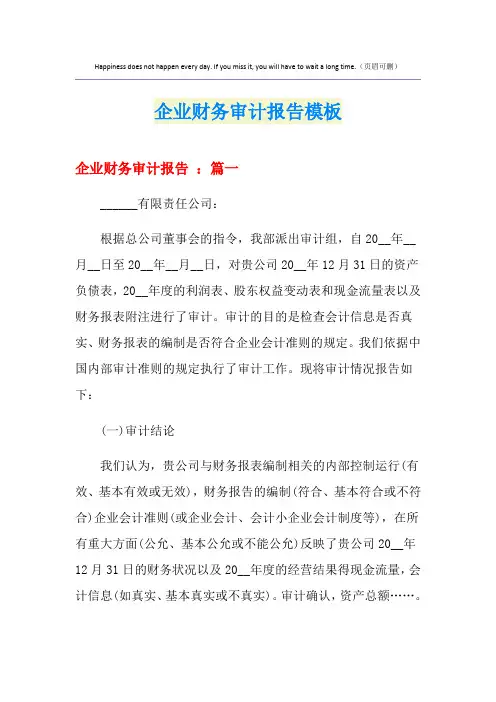 企业财务审计报告模板