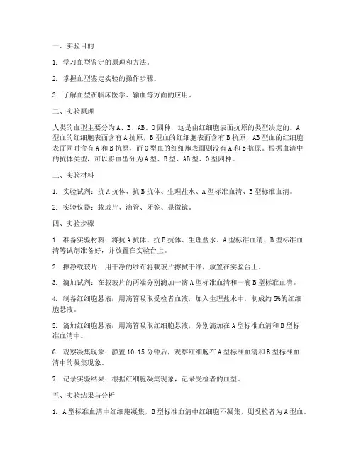 血型的测定实验报告