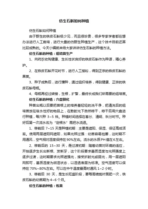 仿生石斛如何种植