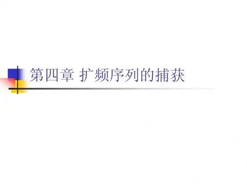 第四章 扩频序列的捕获
