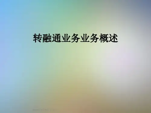 转融通业务业务概述