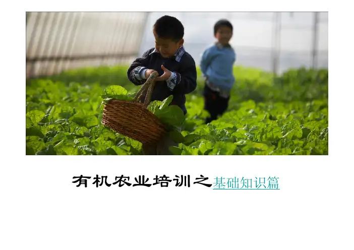 有机农业培训之基础知识篇
