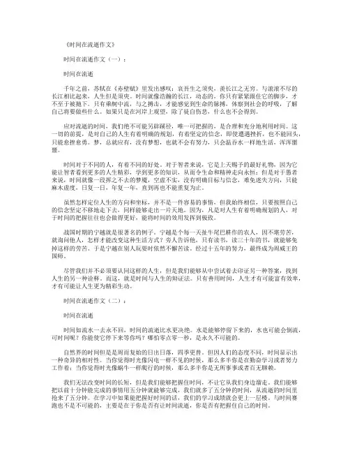 时间在流逝作文20篇