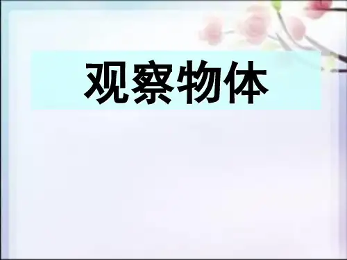 (完整)五级下册数学课件-第一单元 观察物体｜ 人教新课标   3精品PPT资料精品PPT资料
