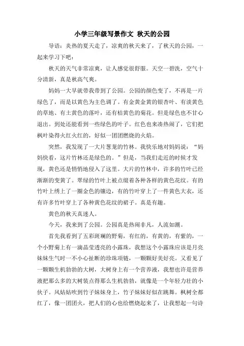 小学三年级写景作文 秋天的公园