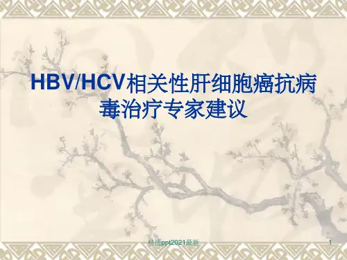 HBVHCV相关性肝细胞癌抗病毒治疗专家建议PPT课件
