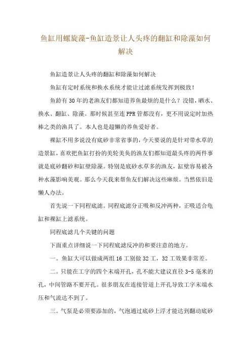 鱼缸用螺旋藻-鱼缸造景让人头疼的翻缸和除藻如何解决