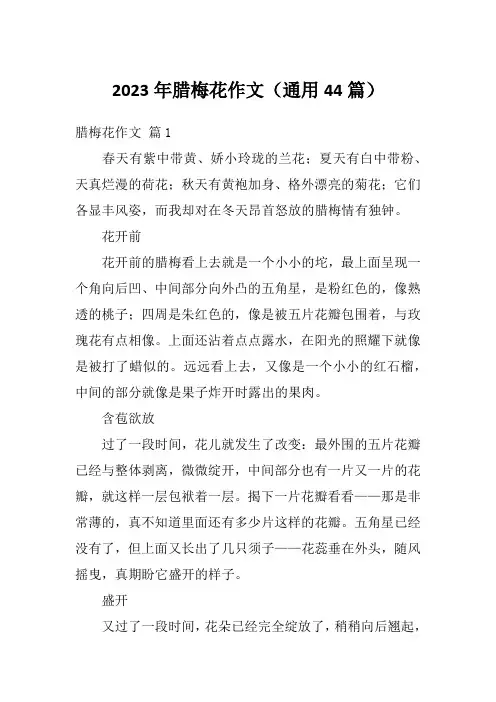 2023年腊梅花作文(通用44篇)