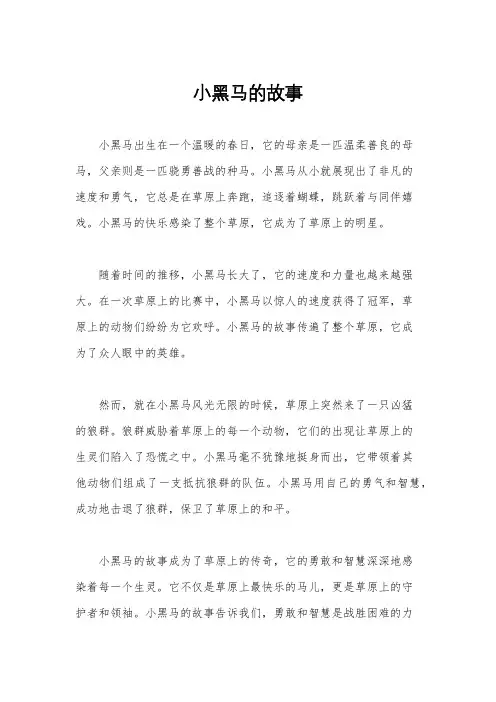 小黑马的故事