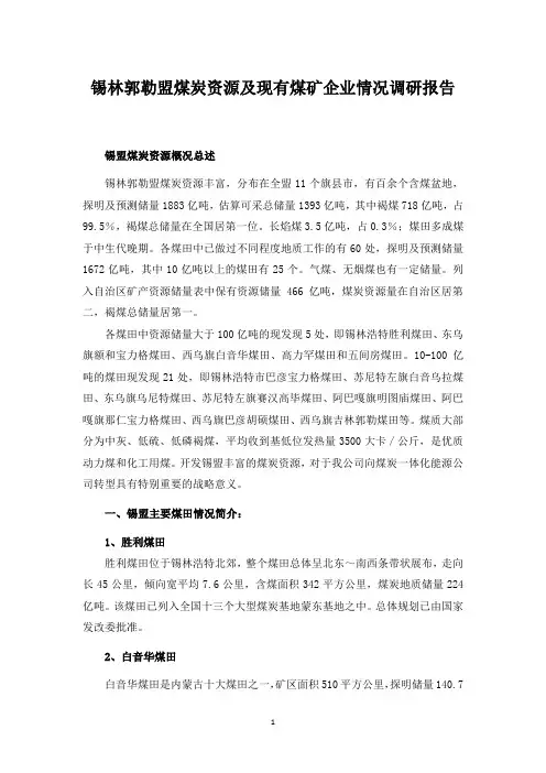 锡林郭勒盟矿山资料