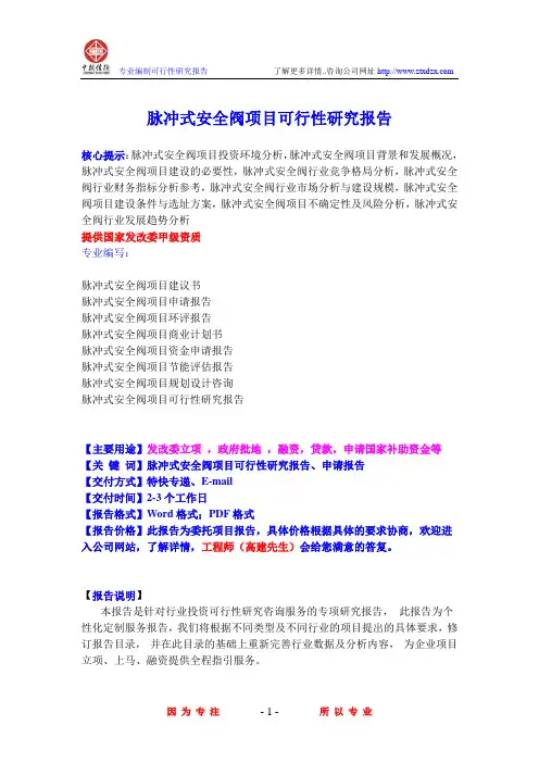 脉冲式安全阀项目可行性研究报告