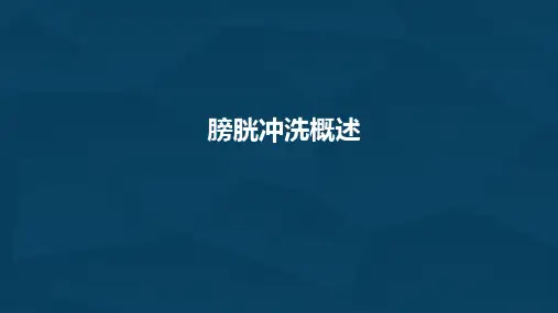 膀胱冲洗概述PPT课件