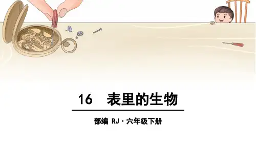 部编版六年级语文下册第16课《表里的生物》优秀教学课件