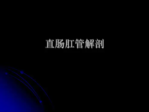 直肠肛管解剖(精品PPT) 