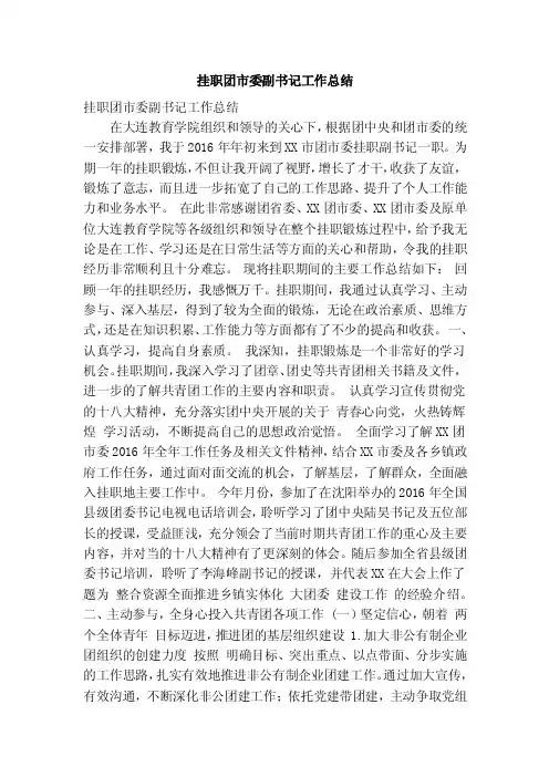 挂职团市委副书记工作总结（精简篇）