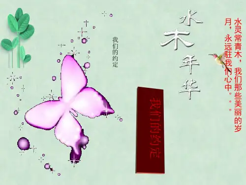主题班会：我们的约定课件