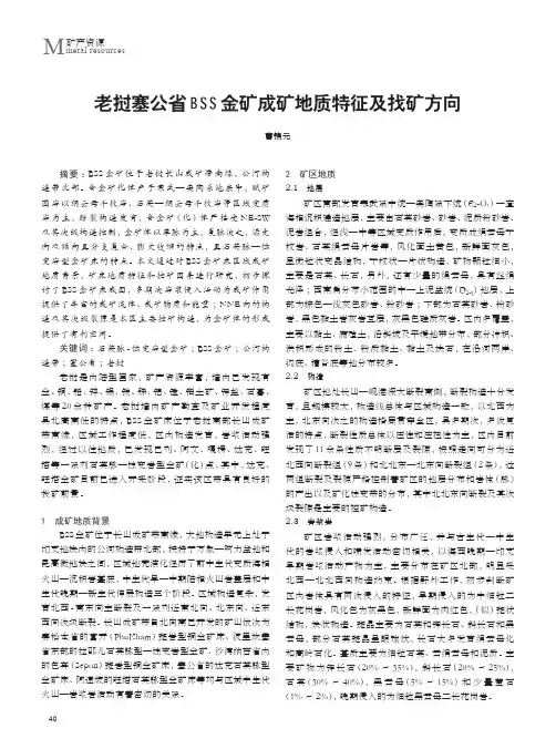 老挝塞公省BSS金矿成矿地质特征及找矿方向