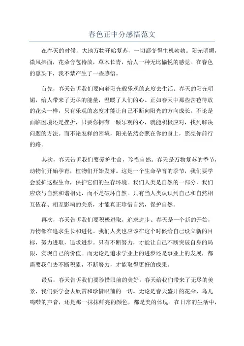 春色正中分感悟范文