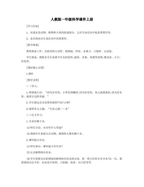 人教版一年级科学课件上册