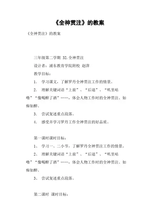 《全神贯注》的教案