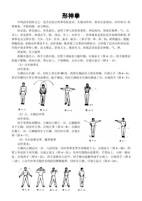 形神拳图解