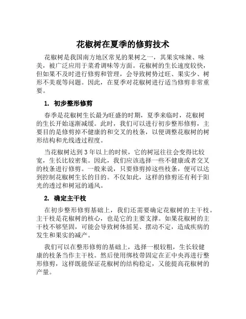 花椒树在夏季的修剪技术
