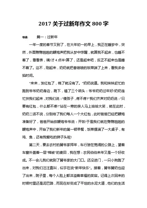2017关于过新年作文800字