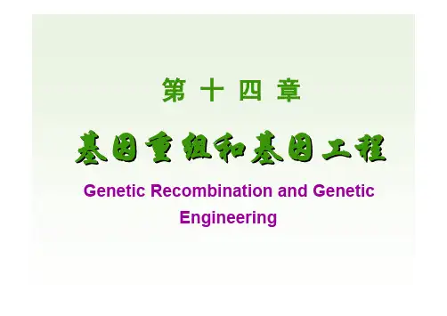 中国医科大学-生物化学-14 基因重组与基因工程