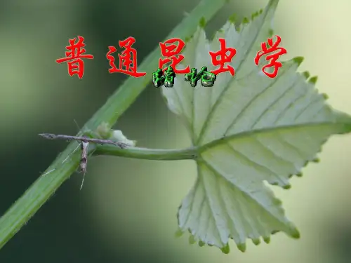 《普通昆虫学》绪论