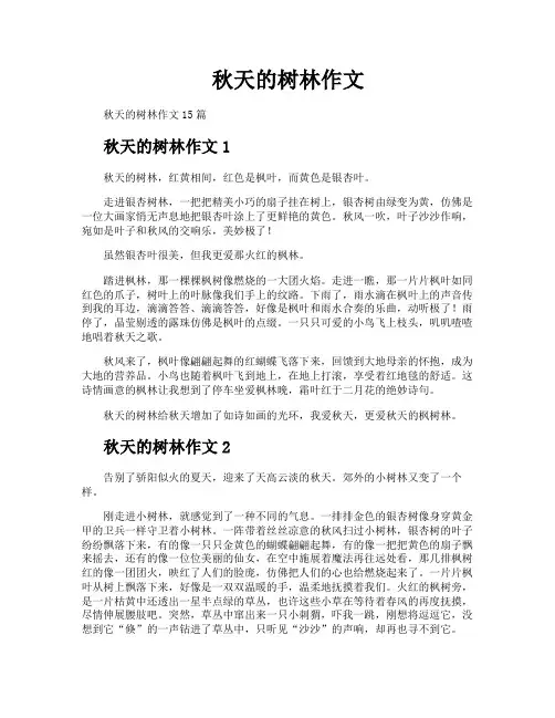 秋天的树林作文