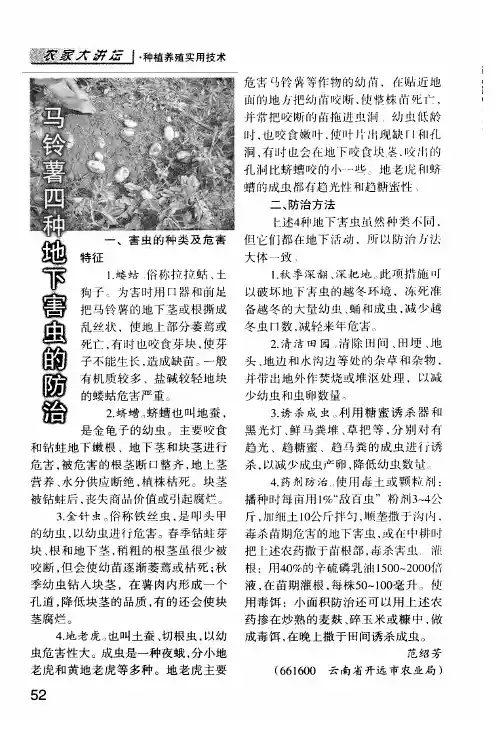 马铃薯四种地下害虫的防治