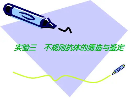 实验三  不规则抗体