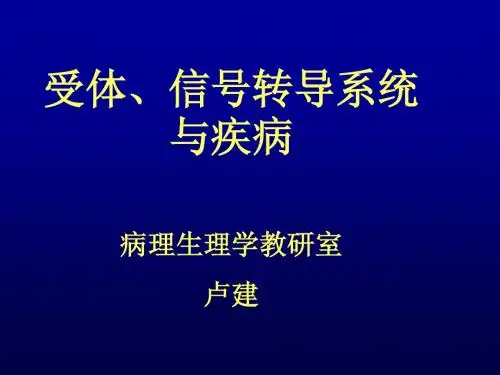 1绪论