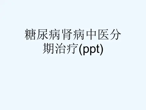 糖尿病肾病中医分期治疗(ppt)