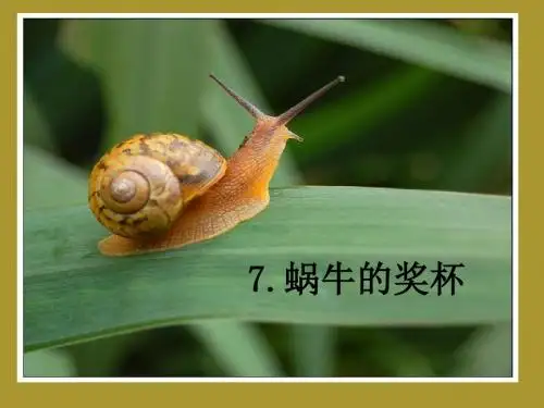 二下《蜗牛的奖杯》ppt课件全面版
